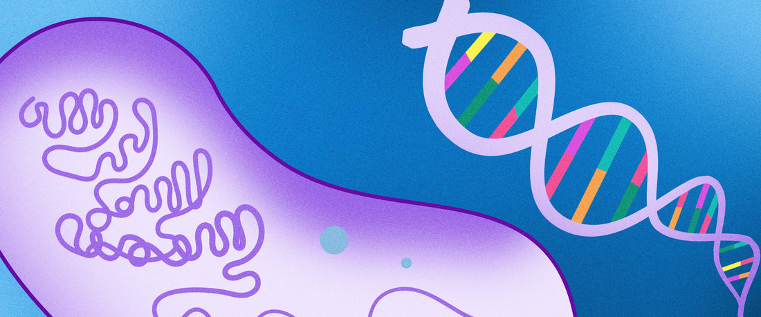 Cómo se fabrican los ingredientes cosmético